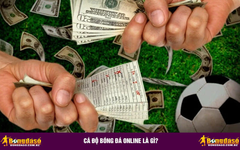 Cá độ bóng đá online là gì?