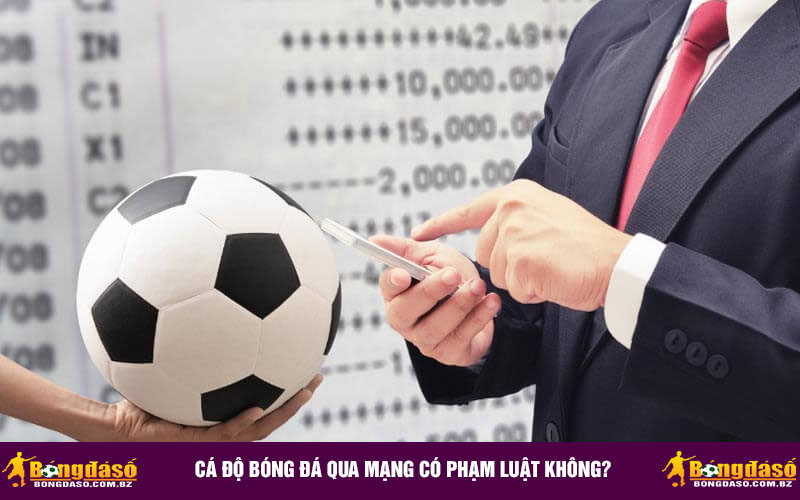 Cá độ bóng đá qua mạng có phạm luật không?