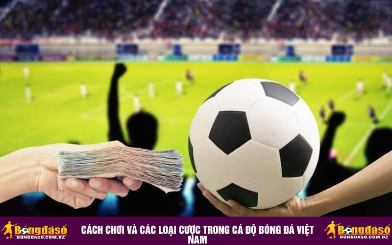 Cách chơi và các loại cược trong Cá Độ Bóng Đá Việt Nam