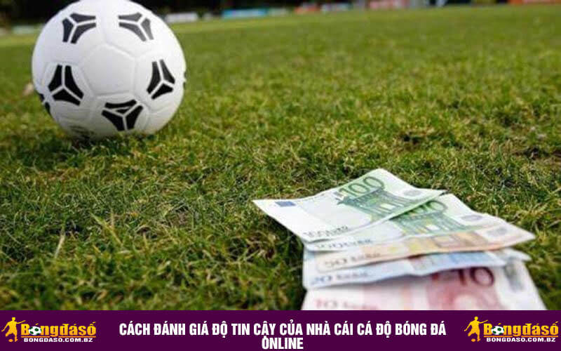 Cách đánh giá độ tin cậy của nhà cái cá độ bóng đá online