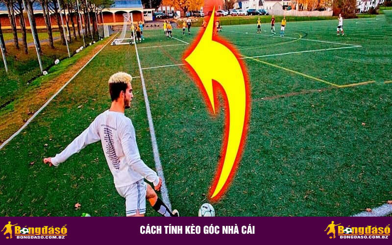 Cách tính kèo góc nhà cái