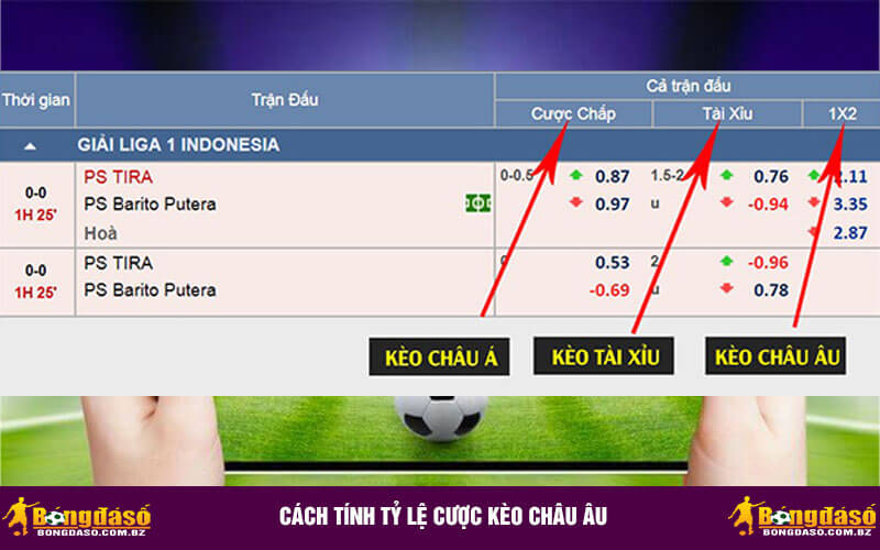 Cách tính tỷ lệ cược kèo châu Âu