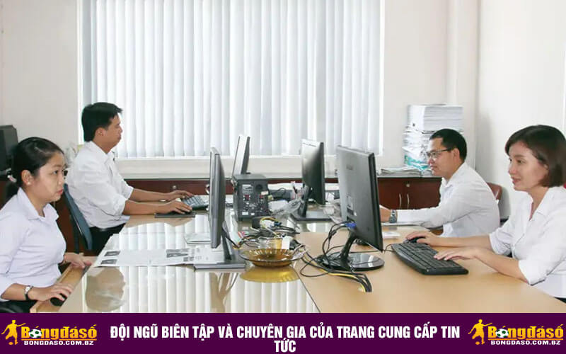 Đội ngũ biên tập và chuyên gia của trang cung cấp tin tức