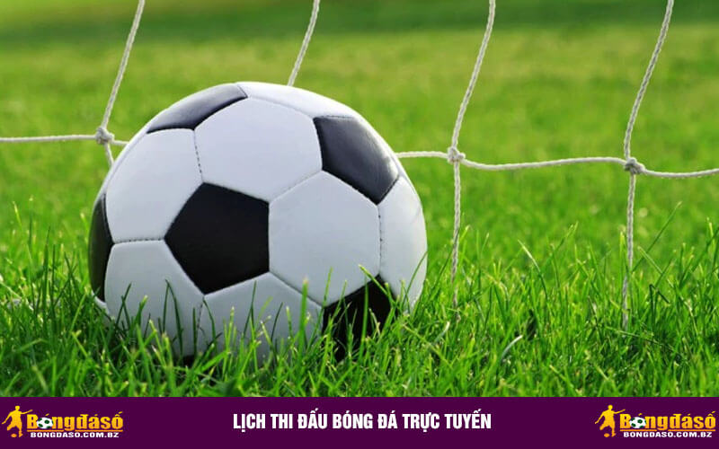 Lịch Thi Đấu Bóng Đá Trực Tuyến