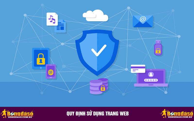 Quy định sử dụng trang web