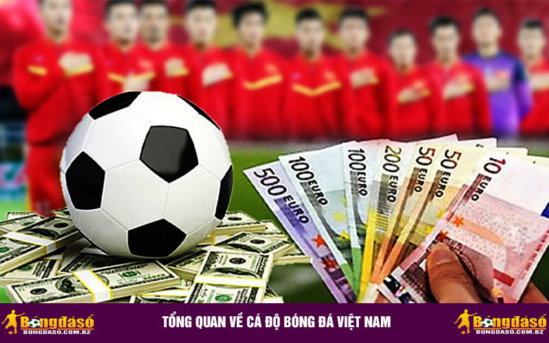 Tổng quan về Cá Độ Bóng Đá Việt Nam