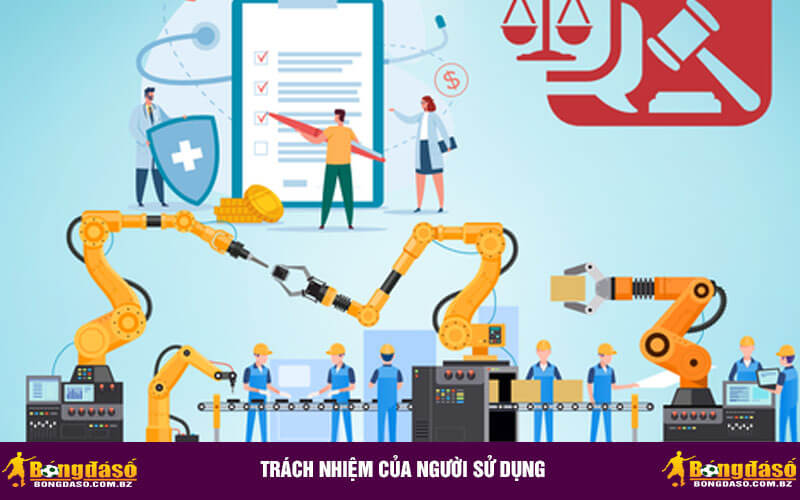 Trách nhiệm của người sử dụng