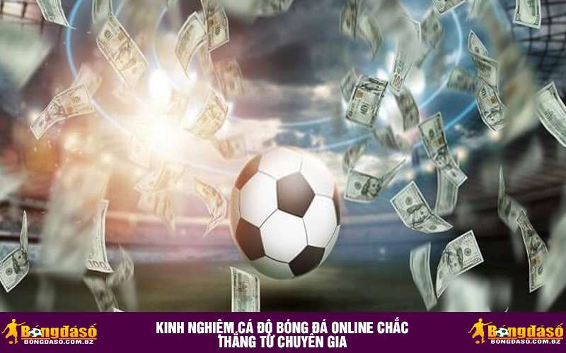 Kinh nghiệm cá độ bóng đá online chắc thắng từ chuyên gia
