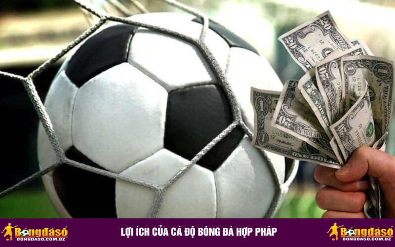 Lợi ích của cá độ bóng đá hợp pháp