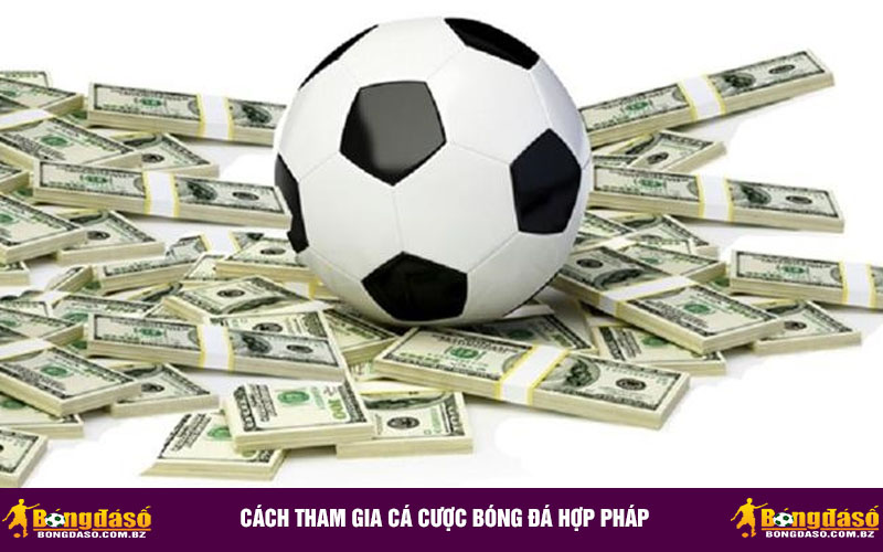 Cách tham gia cá cược bóng đá hợp pháp