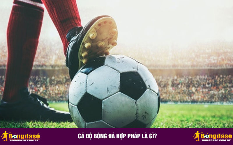 Cá độ bóng đá hợp pháp là gì?