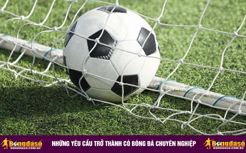 Những yêu cầu trở thành cò bóng đá chuyên nghiệp