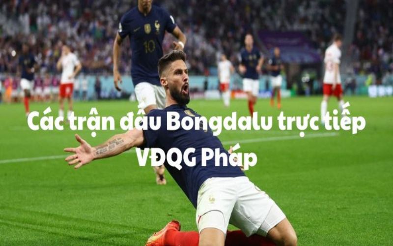 Một số tính năng nổi bật khi xem kết quả Bongdalu