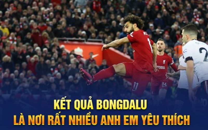 Kết quả bóng đá tại bongdalu cập nhật các giải đấu hàng đầu