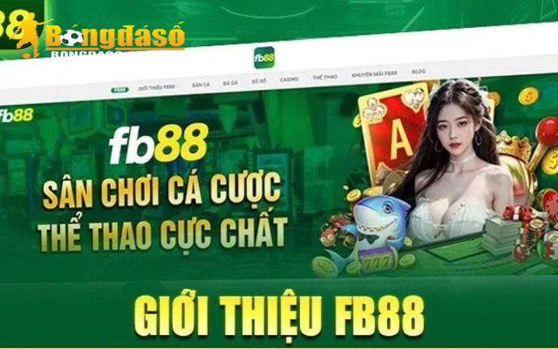 Ưu và nhược điểm của sảnh thể thao FB88 so với đối thủ